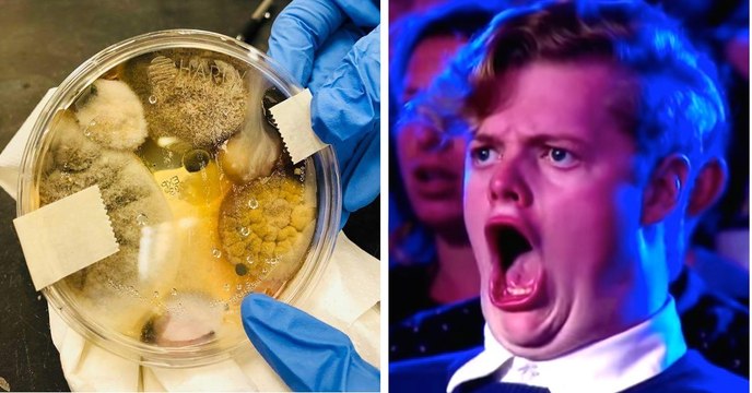 Les 8 actus sciences que vous devez connaître ce matin