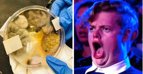 Les 8 actus sciences que vous devez connaître ce matin