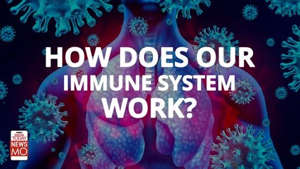 How does our immune system work?