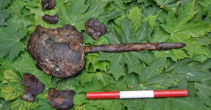 De mystérieux crânes découverts empalés sur des pieux en Suède intriguent les scientifiques