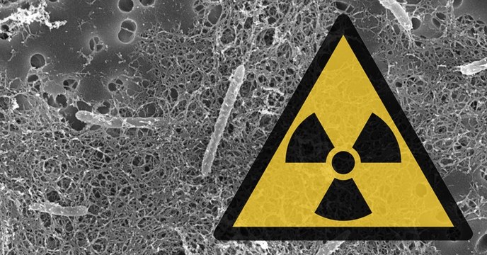 Desulforudis audaxviator, une bactérie utilisant l'énergie nucléaire pour se nourrir, et modèle pour la vie sur Europe ?