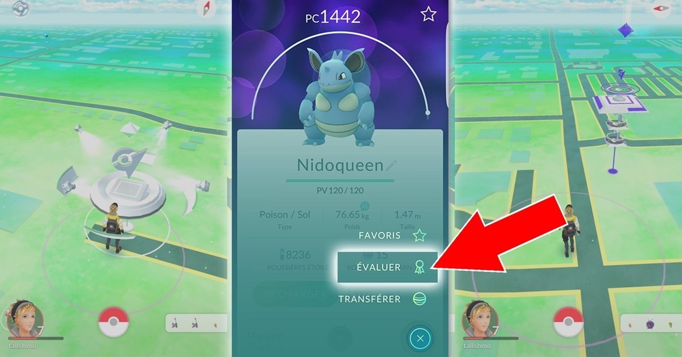 Pokémon GO: Neue Funktion für die Pokémon-Evaluierung