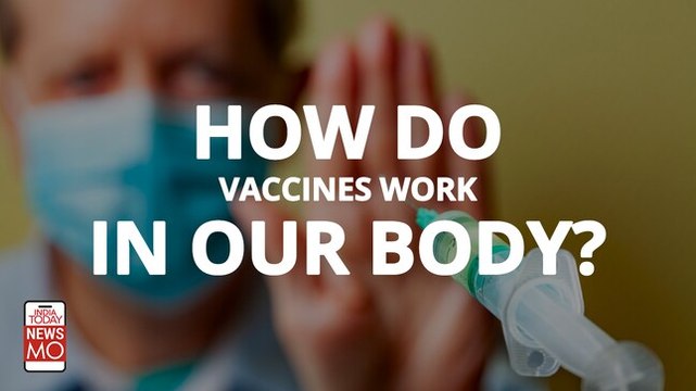 How do vaccines work in our body? 