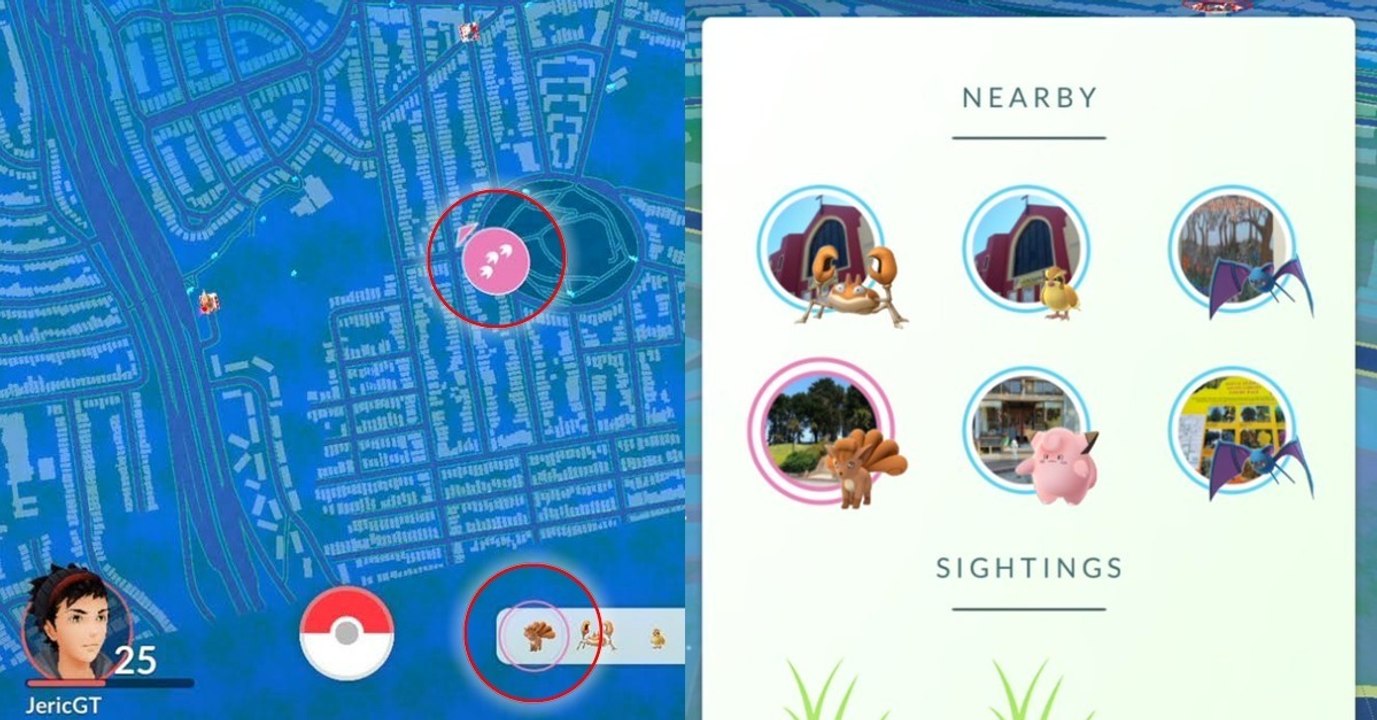 Pokémon GO: Das neue Update perfektioniert den Radar!