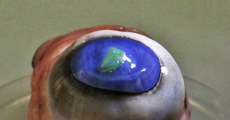 Les chercheurs développent une nouvelle membrane capable d'émettre des lasers