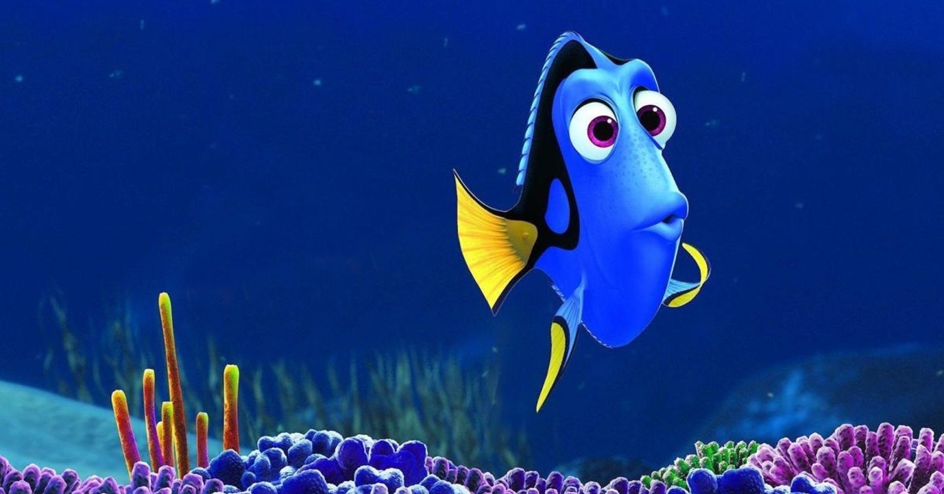 Le bruit des bateaux empêcherait les poissons de mémoriser