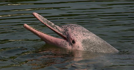 Les 8 actus sciences que vous devez connaître ce 4 mai