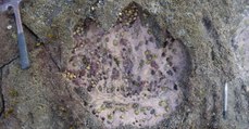Ecosse : d'exceptionnelles empreintes de dinosaures découvertes sur l'île de Skye
