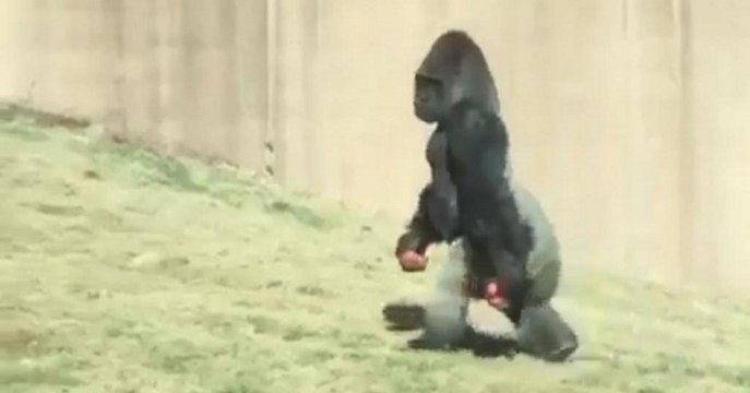 Les 8 actus sciences que vous devez connaître ce 23 mars