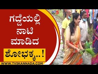 ಗದ್ದೆಯಲ್ಲಿ ನಾಟಿ ಮಾಡಿದ ಶೋಭಕ್ಕ..! | shobha karandlaje | Mandya | Tv5 Kannada