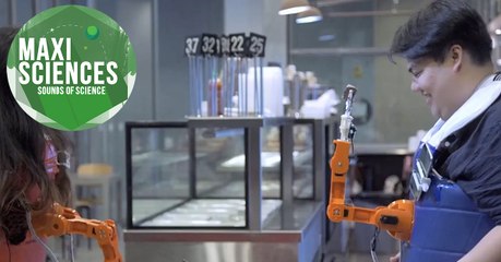 Déforestation, sonde Insight et VIH, les 8 actus sciences que vous devez connaître ce 28 novembre