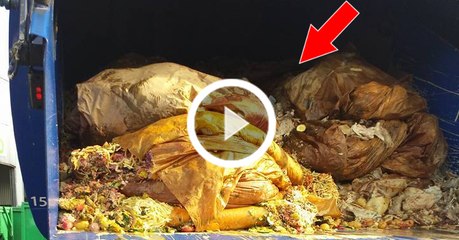 Katze aus Müllauto gerettet!