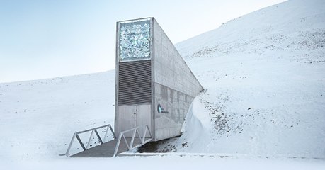 La Réserve mondiale de semences du Svalbard fête ses dix ans en dépassant le million de spécimens