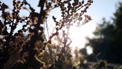 İblisin Oğlu 13. Vahşet Orijinal Teaser