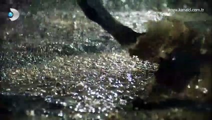 Genel Tanıtım Fragmanı