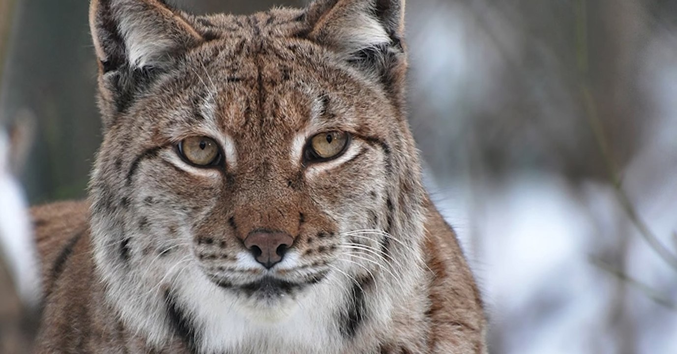 Les 8 actus sciences que vous devez connaître ce 30 mai