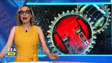 Ponen en marcha la "Misión Colmena", proyecto mexicano en la Luna