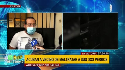 La Victoria: Acusan a vecino de maltrato animal contra tres perros