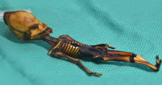 Ata, l'étrange squelette à l'air extraterrestre livre son secret