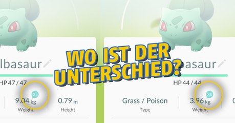 Pokémon Go: Kommt es vielleicht doch auf die Größe an?