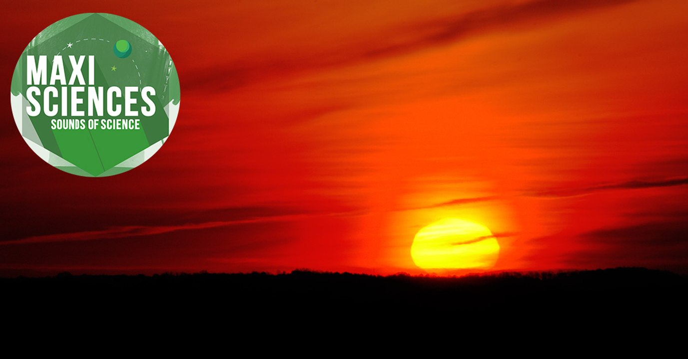 Solstice d'été, raie manta et atomes lourds, les 8 actus sciences que vous devez connaitre ce 21 juin