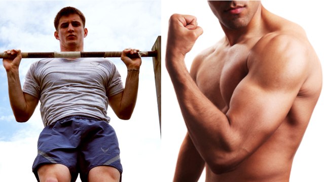 Ein sehr intensives und umfassendes Training mit Klimmzügen, um euren Bizeps zu trainieren