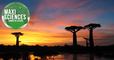 Les 8 actus sciences que vous devez connaître ce 13 juin