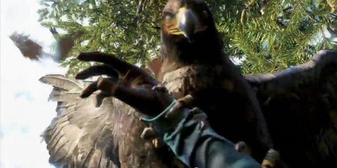 Far Cry 4 : les aigles du jeu sont plus forts qu'ils en ont l'air