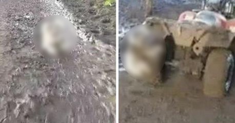 Ihr werdet nie erraten, wegen welchem Tier eine junge Frau in Panik gerät