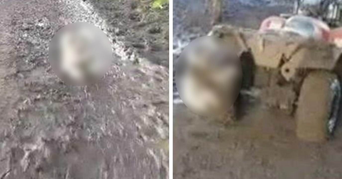 Ihr werdet nie erraten, wegen welchem Tier eine junge Frau in Panik gerät