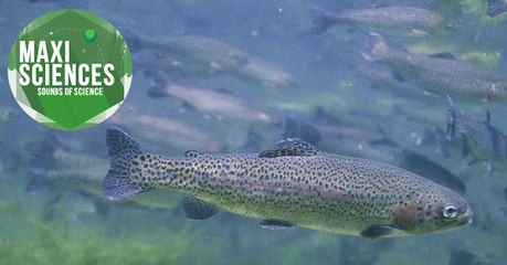 Les 8 actus sciences que vous devez connaitre ce 26 juin