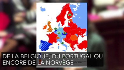 Cannabis thérapeutique en France : où en est la législation ?