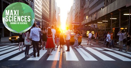 Manhattanhenge, nébuleuse et robot rugbyman, les 8 actus sciences que vous devez connaître ce 2 juin