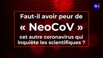 Faut-il craindre « NeoCoV », cet autre coronavirus inquiète les scientifiques ?