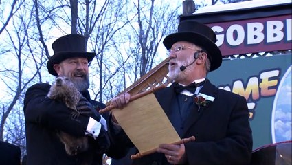 Punxsutawney Phil predicts a longer winter