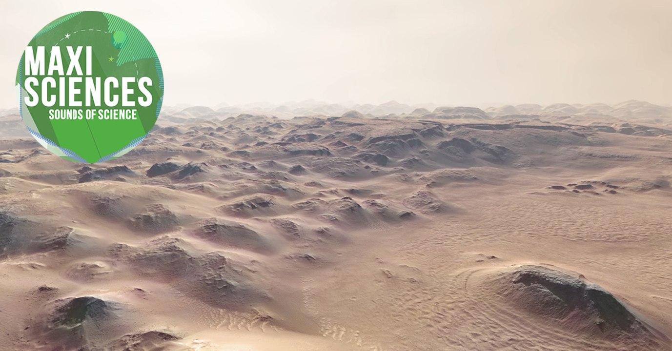 T.rex, astéroïde et python géant, les 8 actus sciences que vous devez connaître ce 22 juin