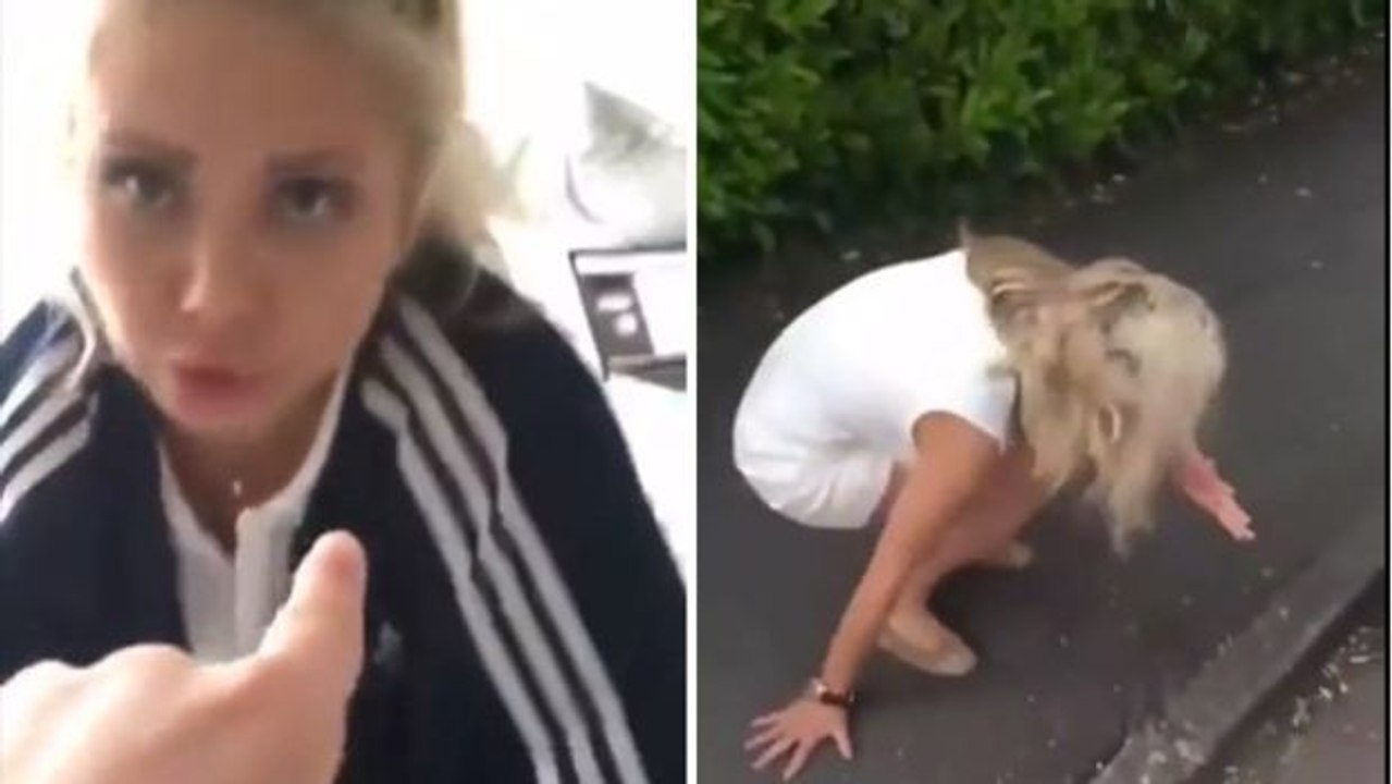 Er erschreckt seine arachnophobische Freundin