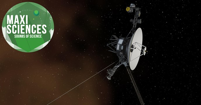 Alligator, réchauffement climatique et Voyager 2, les 8 actus sciences que vous devez connaître ce 9 octobre