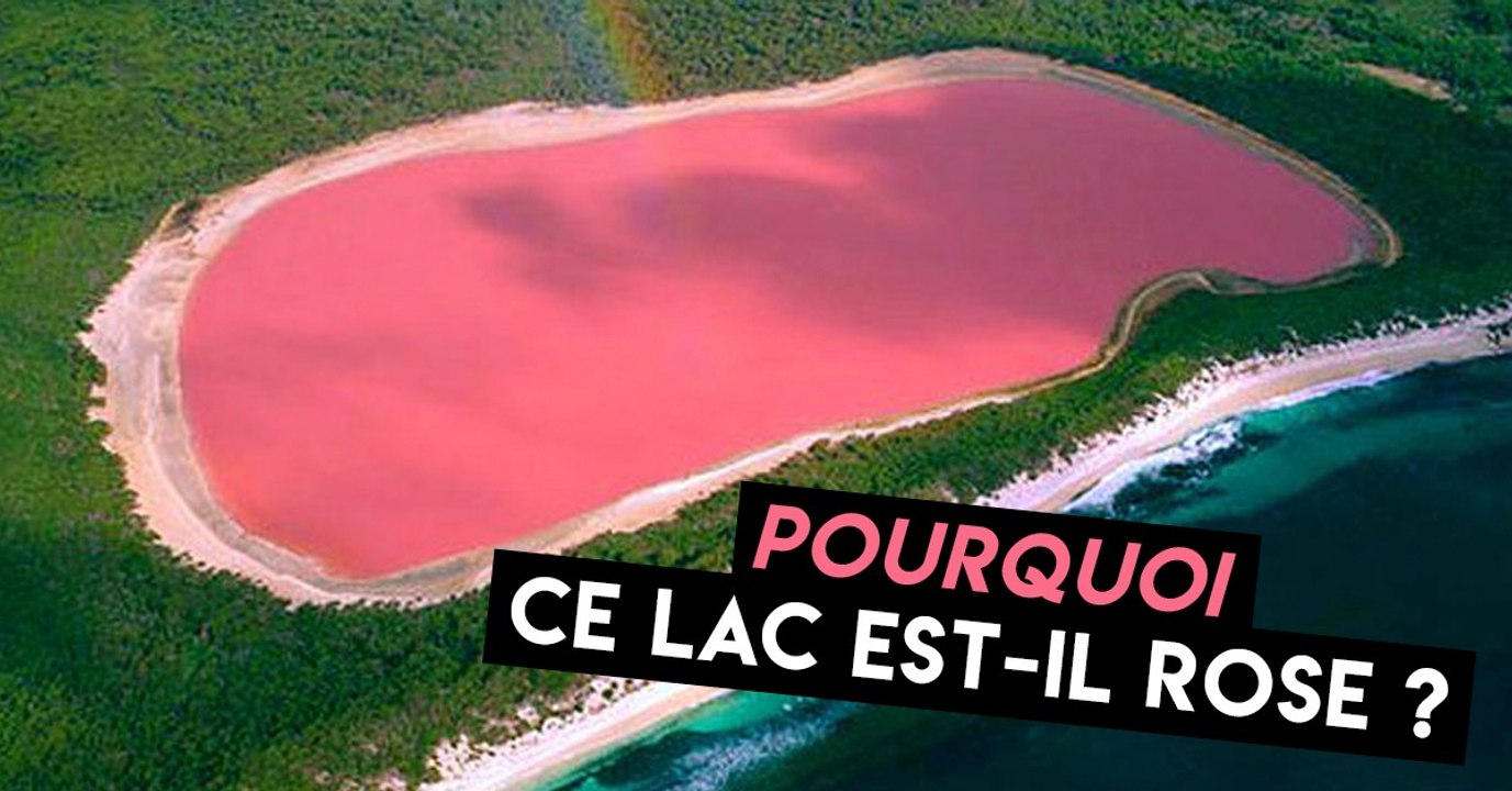 Le lac Hillier, cette étonnante étendue d'eau rose en Australie