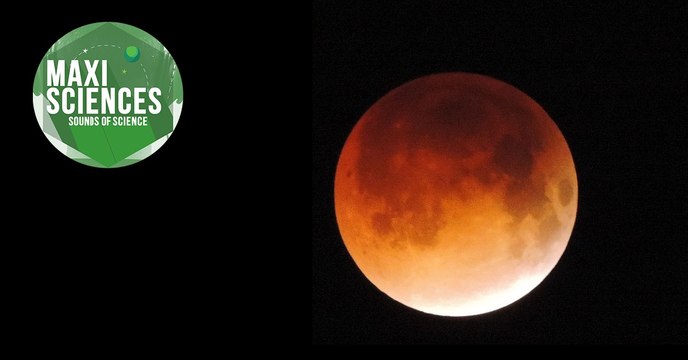 Pesticide, corbeau et éclipse de Lune, les 8 actus sciences que vous devez connaître ce 1er juillet