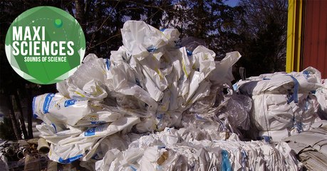 Primates, sacs plastiques et jeu vidéo, les 8 actus science que vous devez connaitre ce 12 août