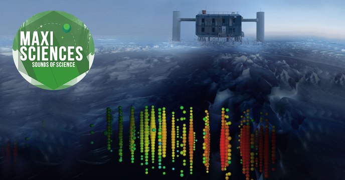 Mystérieux papyrus, crâne d'éléphant et astéroïde, les 8 actus sciences que vous devez connaître ce 14 juillet