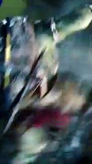 Ninja Kaplumbağalar 3D - Hareketli Karakter Afişi: Raphael