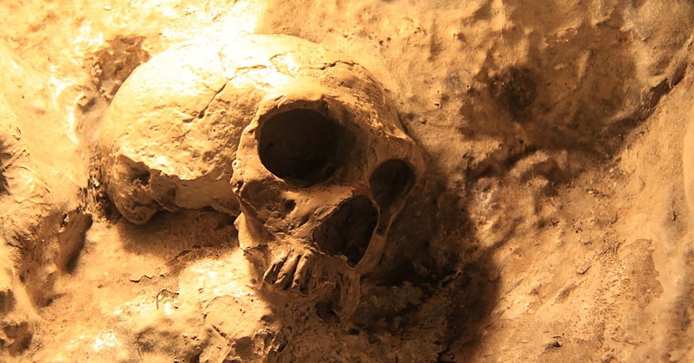 Le changement climatique pourrait avoir aidé Homo sapiens à remplacer Néandertal en Europe