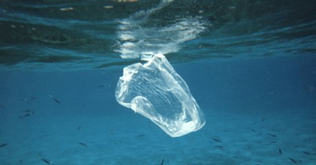 Des ingénieurs chiliens ont inventé un sac plastique soluble dans l'eau et non-polluant