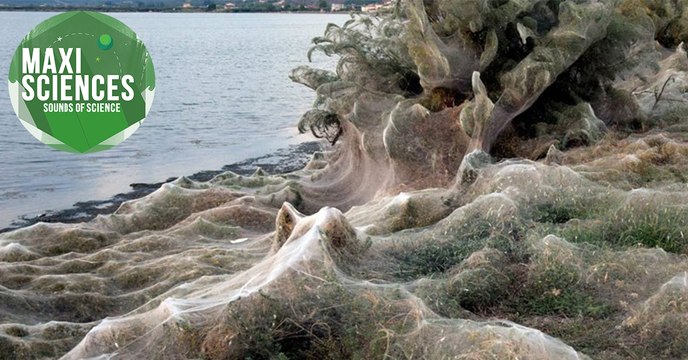 Couches pour bébé, dinosaure et Harrison Ford, voici les 8 actus sciences que vous devez connaître ce 21 septembre