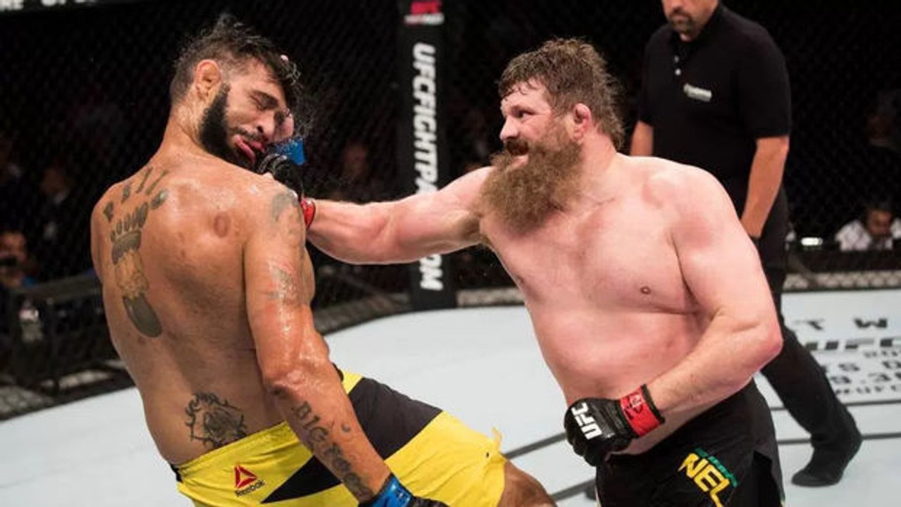 Roy Nelson schlägt Bigfoot Silva KO und greift den Kampfrichter an