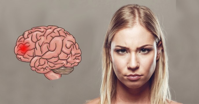 Les chercheurs ont réussi à localiser la soif de vengeance dans le cerveau