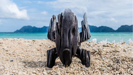 FEMME ACTUELLE - "Koh-Lanta" 2022 : qui sont les 24 candidats de l'édition du "totem maudit" ?