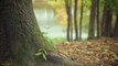 Deux Français veulent planter 30.000 arbres pour recréer une forêt indigène dans le Tarn